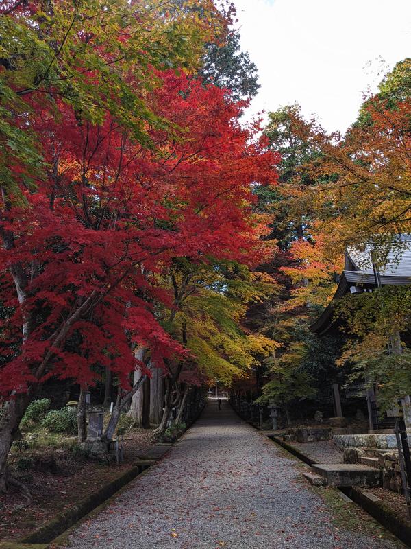26西林寺①(1).jpg