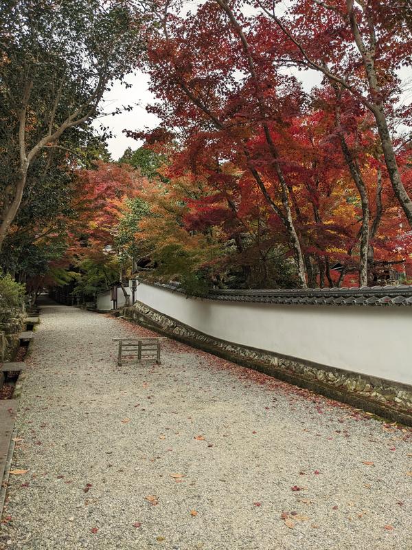 26西林寺.jpg