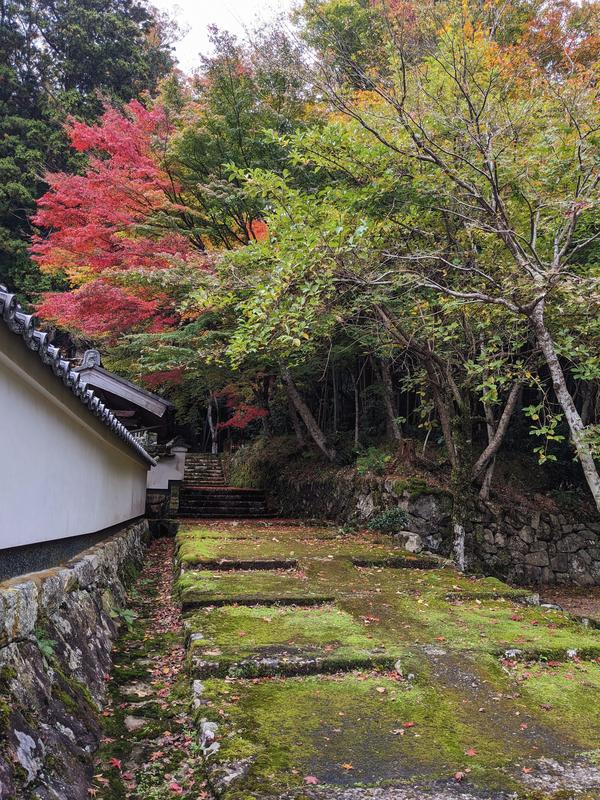 18荘厳寺.jpg