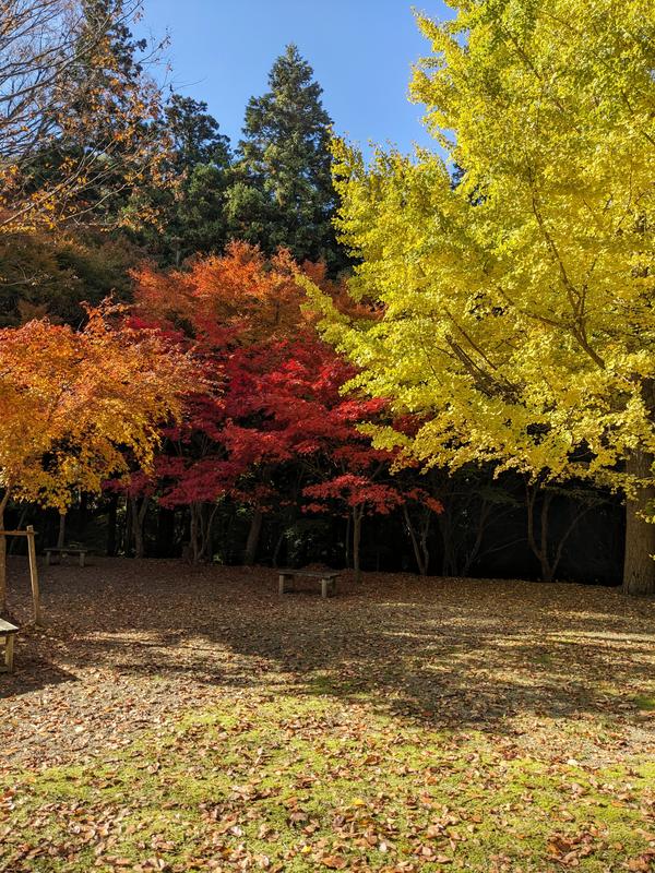 29荘厳寺②.jpg