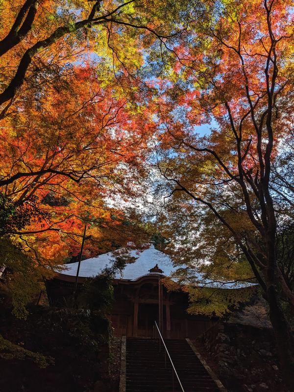 29荘厳寺③.jpg