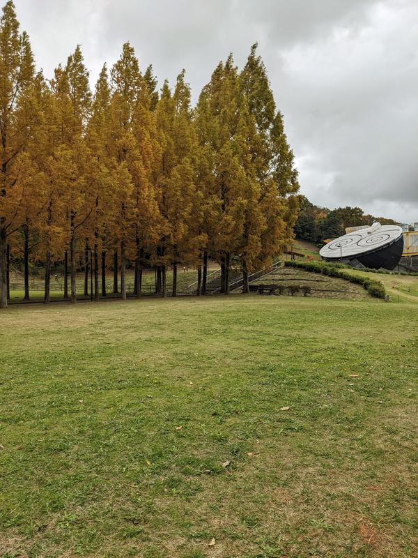 18へそ公園.jpg