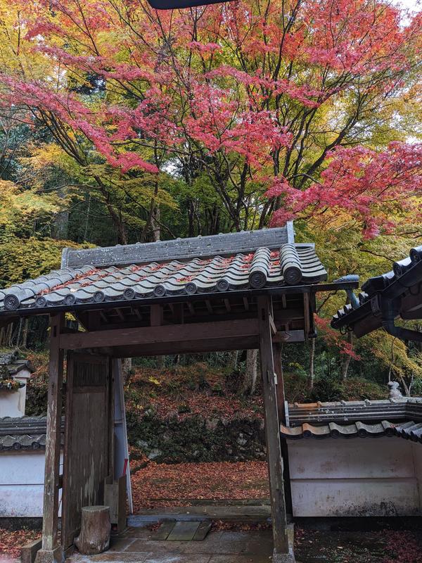 26日荘厳寺.jpg