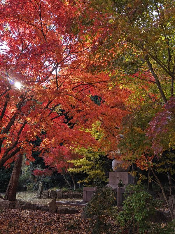 29西林寺③.jpg