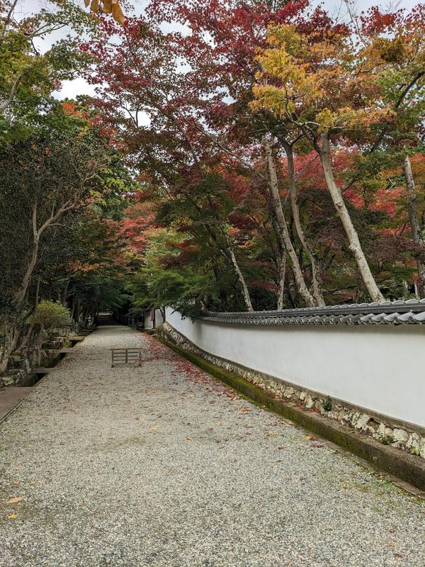 18西林寺.jpg
