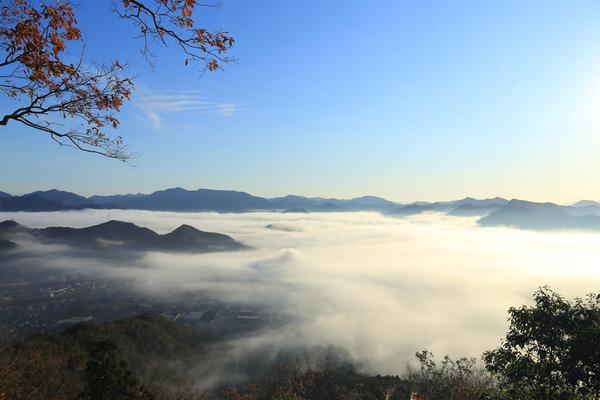 矢筈山④.JPG