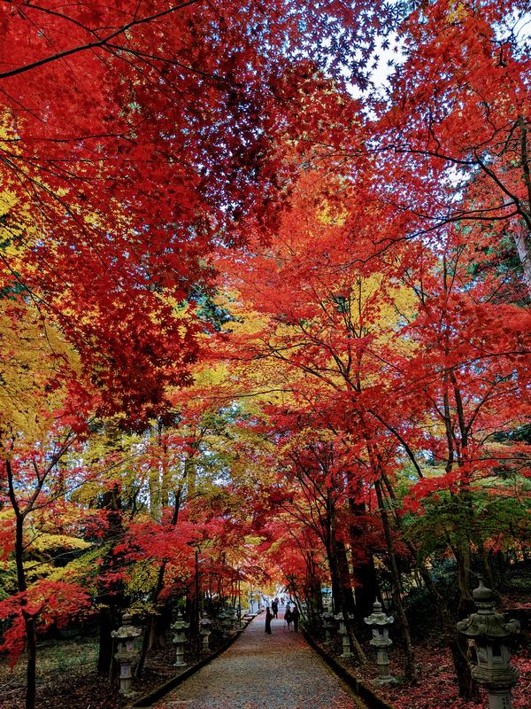 3日西林寺②.jpg