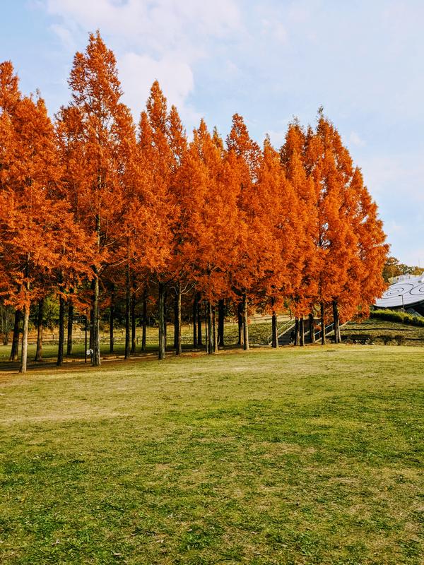 3日へそ公園.jpg