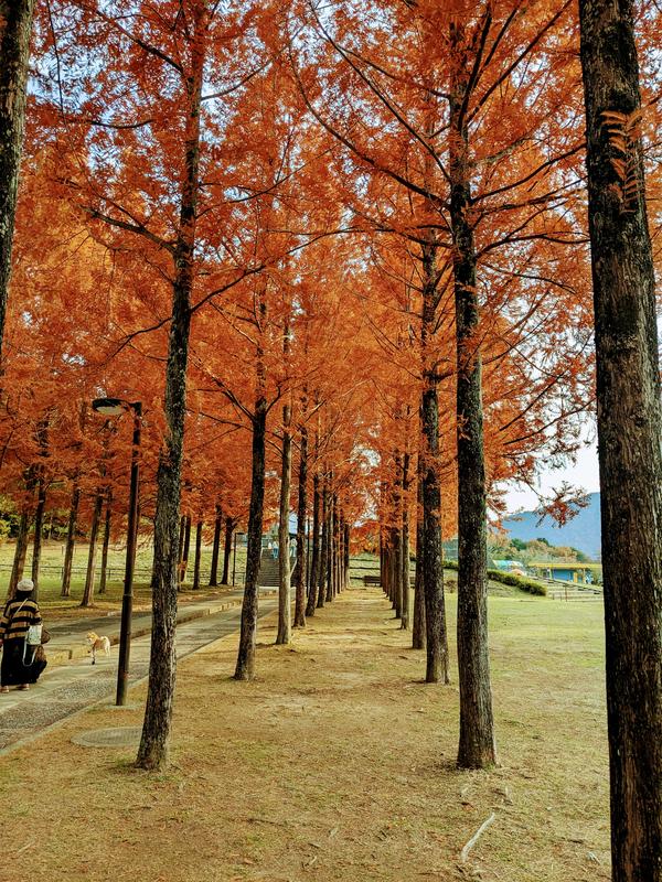 3日へそ公園②.jpg
