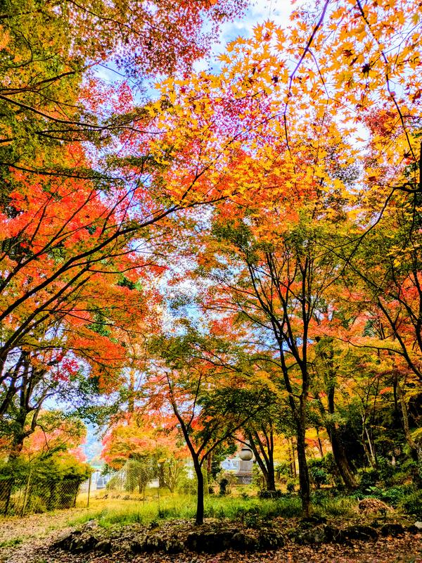 西林寺11月21日②.jpg