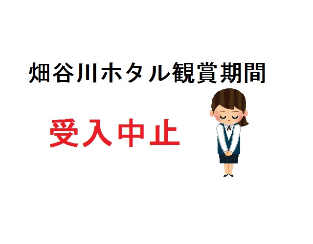 令和５年度　畑谷川のホタル観賞は受入れを中止します