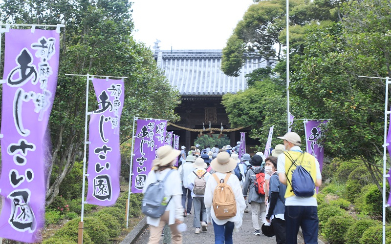 ６月18日（日）日本のへそエンジョイハイキング参加者募集