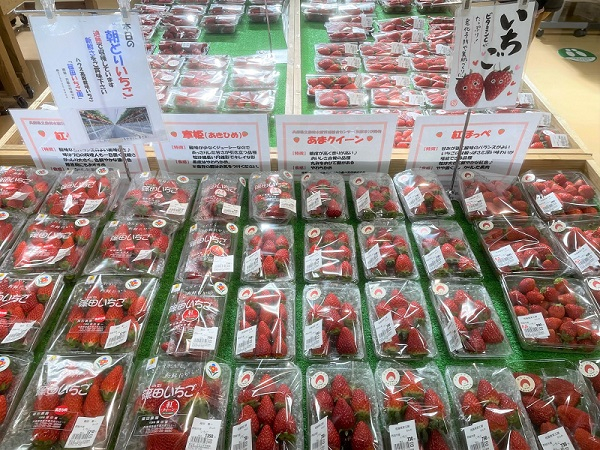 ichigo_syunsaikan.jpg