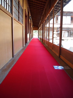 koyano02