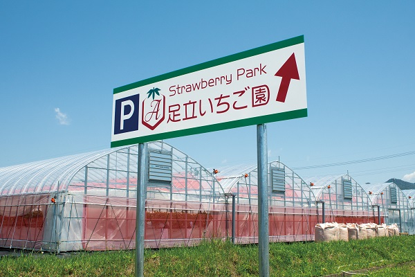 25_Adachi04.jpg