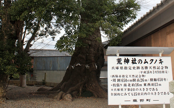 荒神社