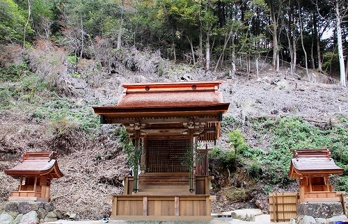 saisenji05.jpg