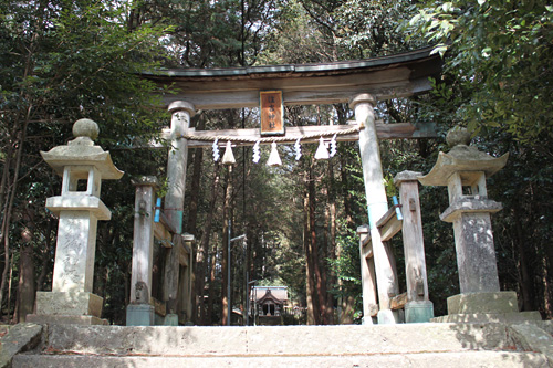 住吉神社の鳥居