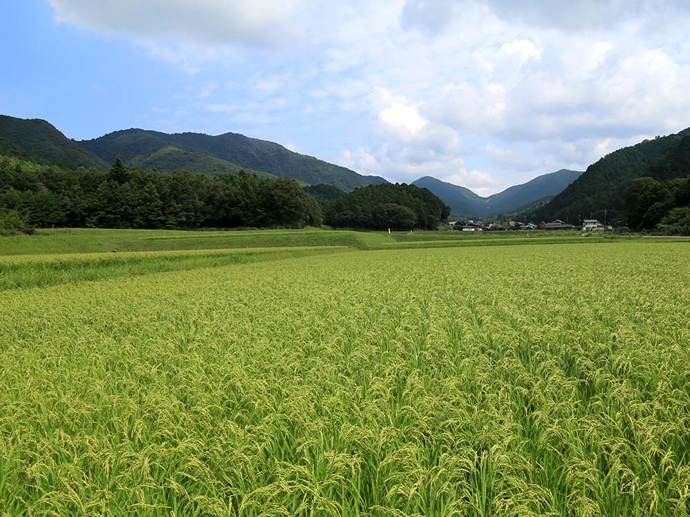 西脇市土づくりセンターの作業風景