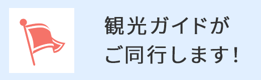 観光ガイドがご同行します！