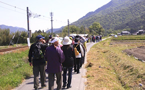 「官兵衛の里にしわき」新緑ハイキング