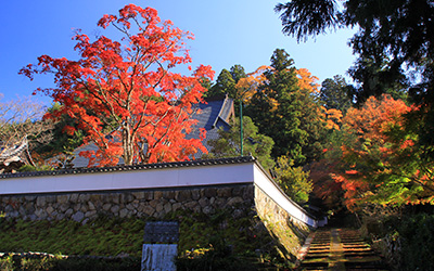 荘厳寺