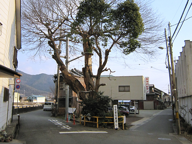 Ｙ字路［西脇市西脇　和菓子住吉屋前］