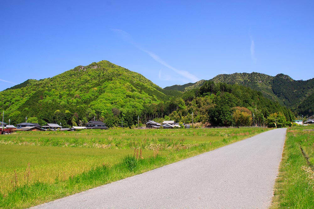 黒田城址の城山全体像