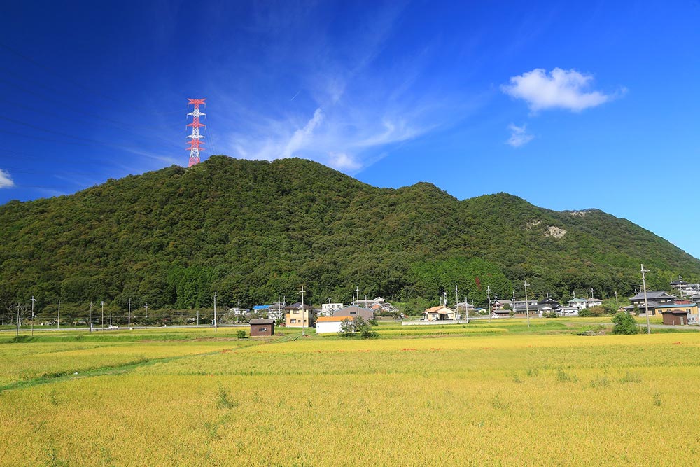 鳴尾山の全体像