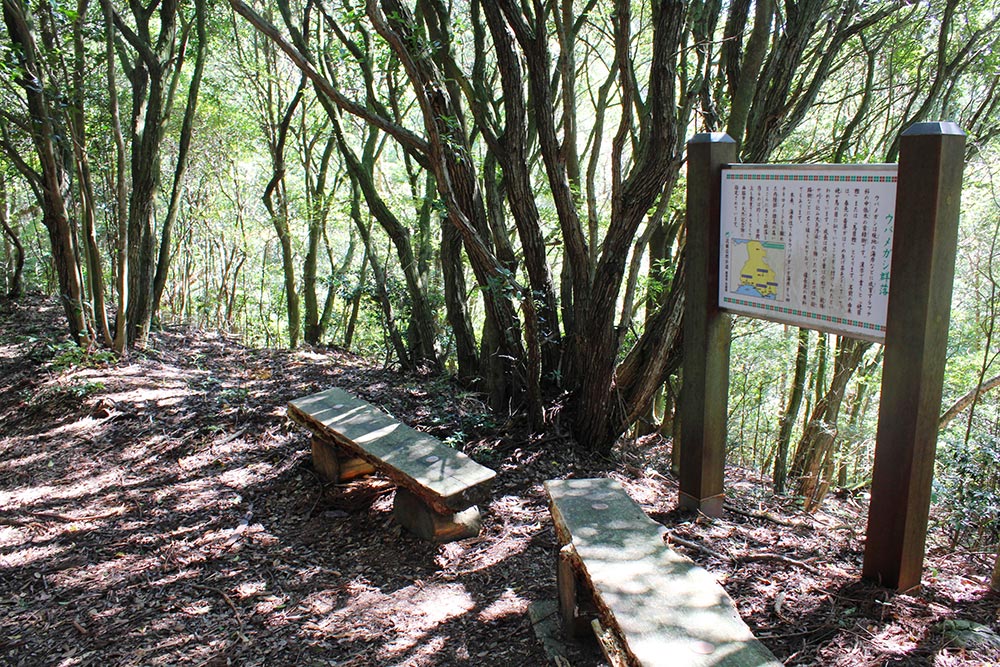 西光寺山のウバメガシ群落