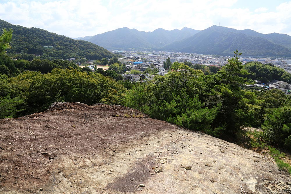 西林寺山の山頂からの眺め