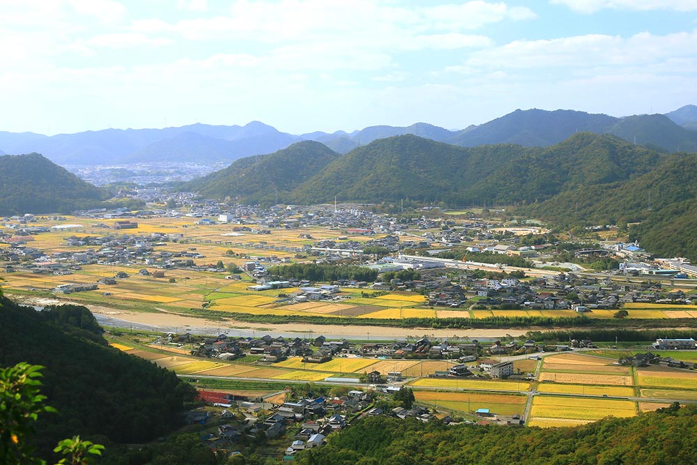 三角点山の山頂からの眺め