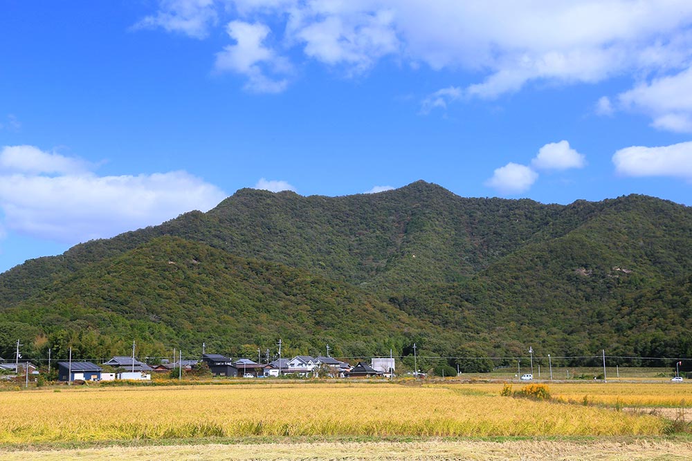 三角点山の全体像