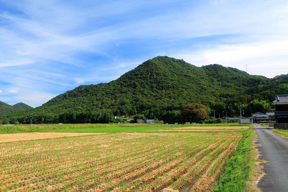 角尾山の全体像