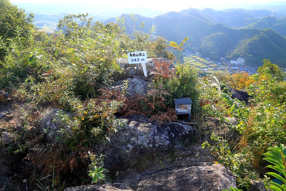 角尾山の山頂