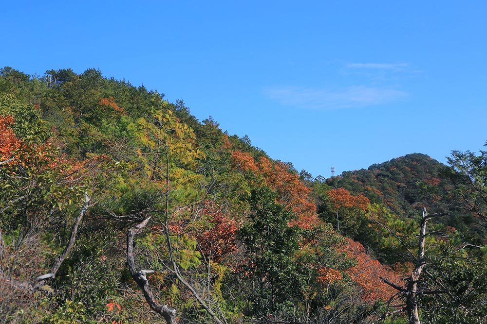 角尾山の全体像